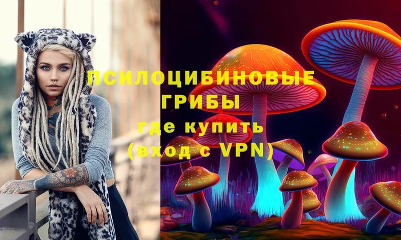 Галлюциногенные грибы MAGIC MUSHROOMS  Чусовой 